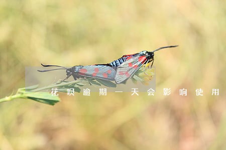 花呗逾期一天会影响使用吗 花呗逾期一天会影响使用吗