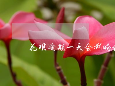 花呗逾期一天会影响信誉吗 花呗逾期一天会影响信誉吗