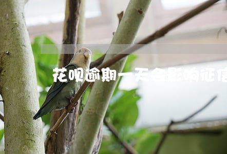 花呗逾期一天会影响征信 花呗逾期一天会影响征信