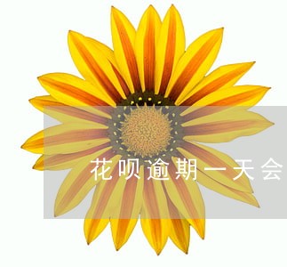 花呗逾期一天会怎么样图片 花呗逾期一天会怎么样图片