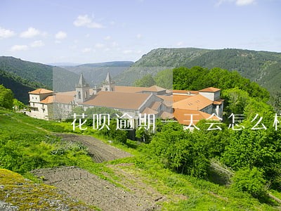 花呗逾期一天会怎么样的 花呗逾期一天会怎么样的