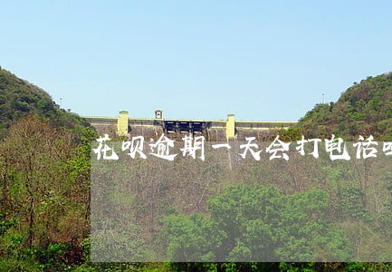 花呗逾期一天会打电话吗6 花呗逾期一天会打电话吗6