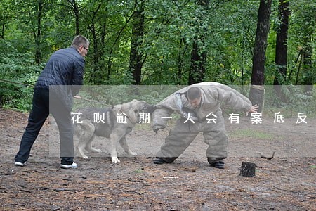 花呗逾期一天会有案底反应 花呗逾期一天会有案底反应