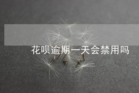 花呗逾期一天会禁用吗 花呗逾期一天会禁用吗