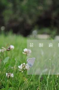 花呗逾期一天会被关吗 花呗逾期一天会被关吗