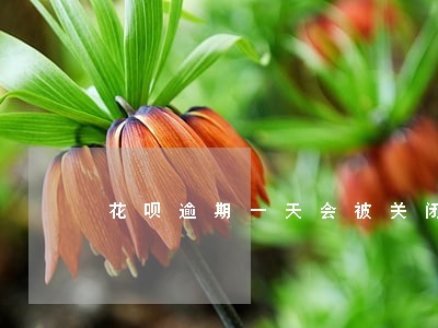 花呗逾期一天会被关闭吗 花呗逾期一天会被关闭吗