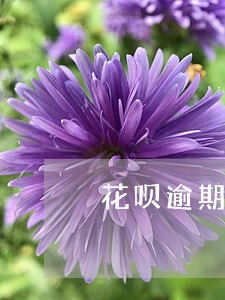 花呗逾期一天会长额度吗 花呗逾期一天会长额度吗