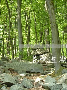 花呗逾期一天会风控 花呗逾期一天会风控
