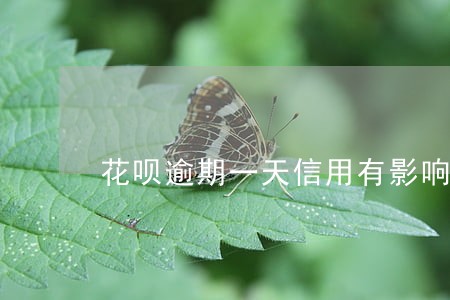 花呗逾期一天信用有影响吗 花呗逾期一天信用有影响吗