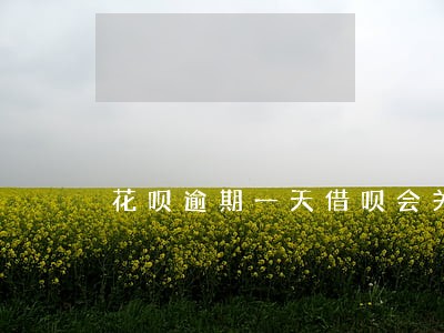 花呗逾期一天借呗会关闭吗 花呗逾期一天借呗会关闭吗