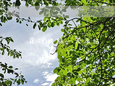 花呗逾期一天冻结 花呗逾期一天冻结