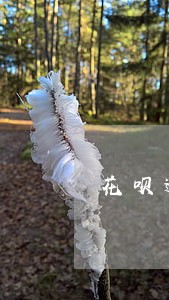 花呗逾期一天冻结吗 花呗逾期一天冻结吗