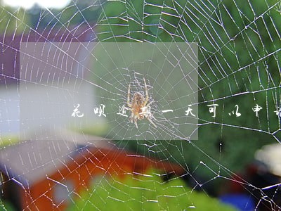 花呗逾期一天可以申请延期吗 花呗逾期一天可以申请延期吗