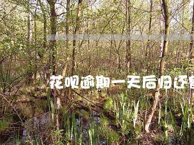 花呗逾期一天后归还额度 花呗逾期一天后归还额度