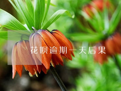 花呗逾期一天后果 花呗逾期一天后果