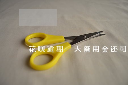 花呗逾期一天备用金还可以用吗
