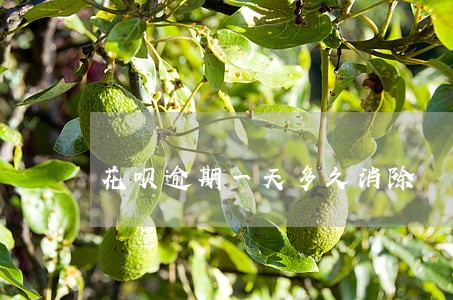 花呗逾期一天多久消除 花呗逾期一天多久消除