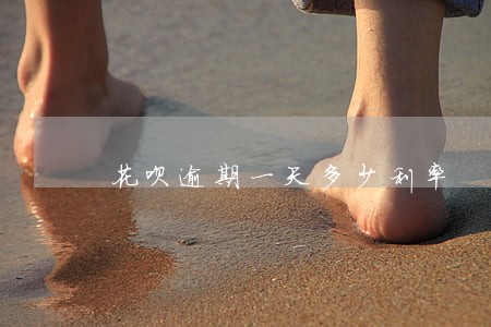 花呗逾期一天多少利率 花呗逾期一天多少利率