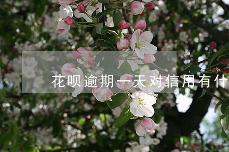 花呗逾期一天对信用有什么影响