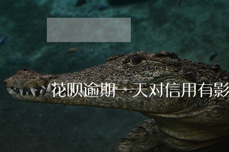 花呗逾期一天对信用有影响么