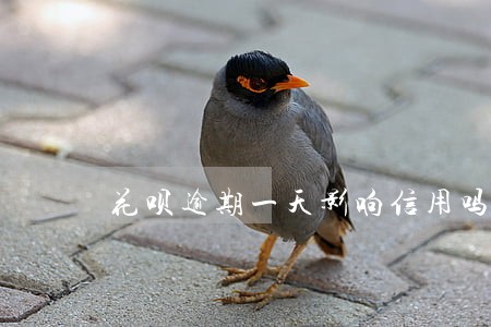 花呗逾期一天影响信用吗 花呗逾期一天影响信用吗