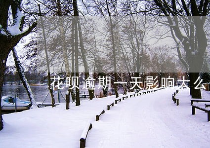 花呗逾期一天影响大么 花呗逾期一天影响大么