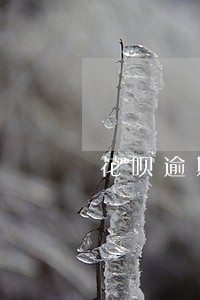 花呗逾期一天影响捷信分期吗 花呗逾期一天影响捷信分期吗
