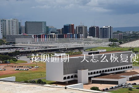 花呗逾期一天怎么恢复使用 花呗逾期一天怎么恢复使用