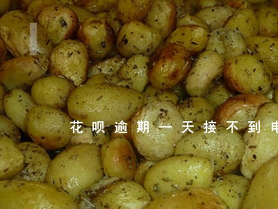 花呗逾期一天接不到电话 花呗逾期一天接不到电话