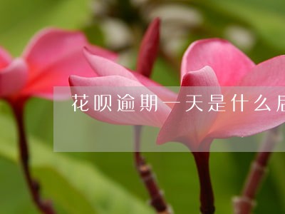 花呗逾期一天是什么后果 花呗逾期一天是什么后果