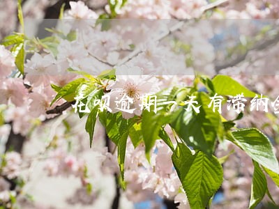 花呗逾期一天有滞纳金吗 花呗逾期一天有滞纳金吗