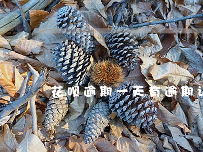 花呗逾期一天有逾期记录吗 花呗逾期一天有逾期记录吗
