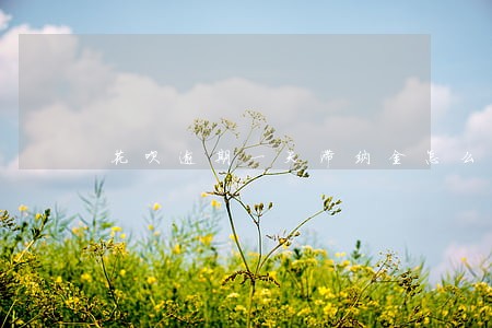 花呗逾期一天滞纳金怎么算 花呗逾期一天滞纳金怎么算