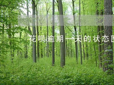 花呗逾期一天的状态图片 花呗逾期一天的状态图片