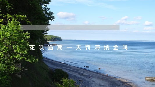 花呗逾期一天罚滞纳金吗 花呗逾期一天罚滞纳金吗