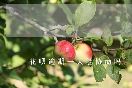 花呗逾期一天能协商吗 花呗逾期一天能协商吗
