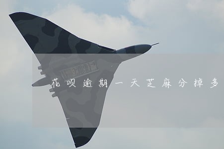 花呗逾期一天芝麻分掉多少 花呗逾期一天芝麻分掉多少
