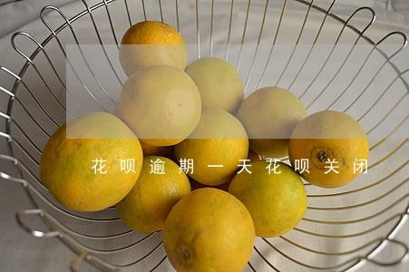 花呗逾期一天花呗关闭 花呗逾期一天花呗关闭