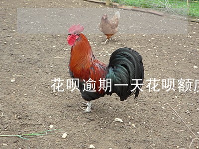 花呗逾期一天花呗额度还能用吗 花呗逾期一天花呗额度还能用吗