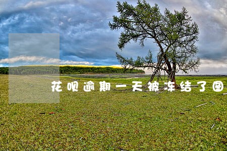 花呗逾期一天被冻结了图片 花呗逾期一天被冻结了图片