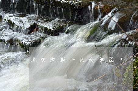 花呗逾期一天账单图片 花呗逾期一天账单图片