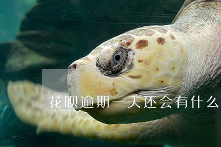 花呗逾期一天还会有什么后果 花呗逾期一天还会有什么后果