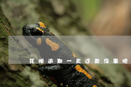 花呗逾期一天还款没事吧 花呗逾期一天还款没事吧