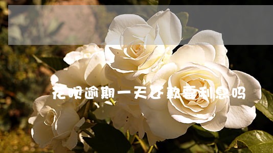 花呗逾期一天还款要利息吗 花呗逾期一天还款要利息吗