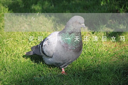 花呗逾期一天还清后立马可以用吗 花呗逾期一天还清后立马可以用吗