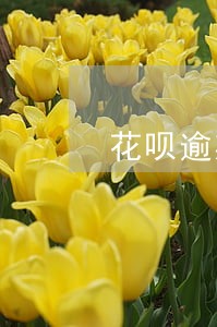 花呗逾期一天额度有影响吗 花呗逾期一天额度有影响吗