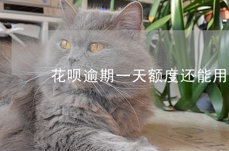 花呗逾期一天额度还能用吗 花呗逾期一天额度还能用吗