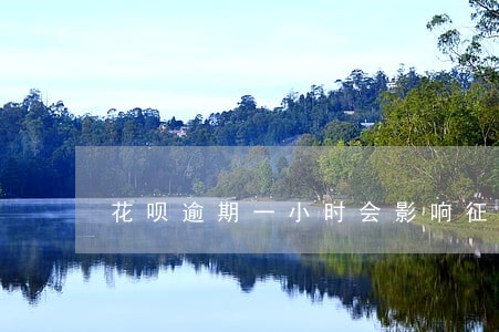 花呗逾期一小时会影响征信嘛 花呗逾期一小时会影响征信嘛