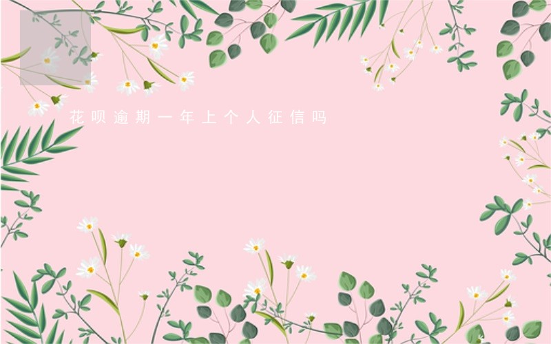 花呗逾期一年上个人征信吗 花呗逾期一年上个人征信吗