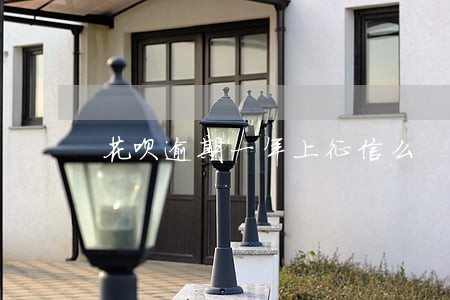 花呗逾期一年上征信么 花呗逾期一年上征信么